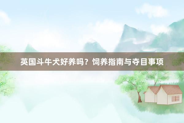 英国斗牛犬好养吗？饲养指南与夺目事项